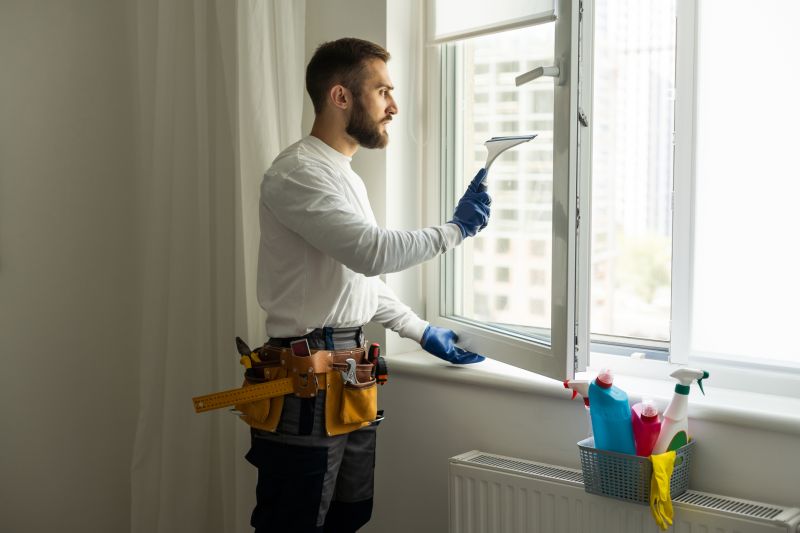 Professional Window Cleaning Services