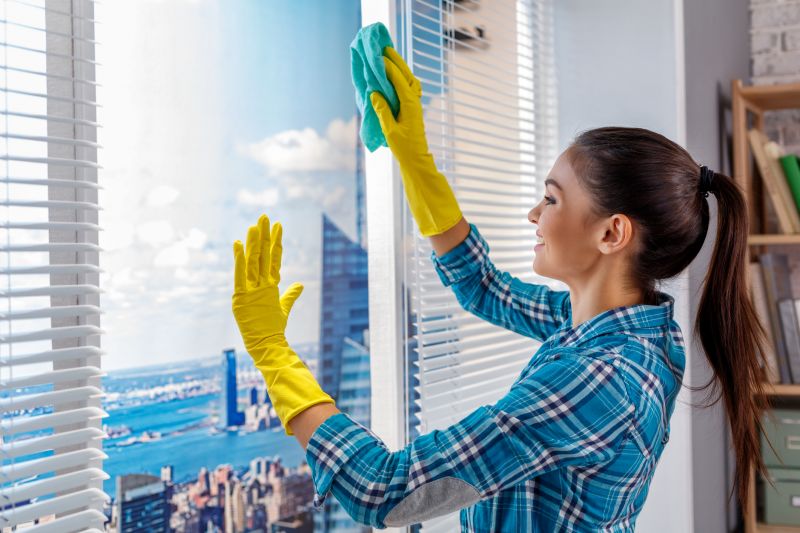 Window Cleaning